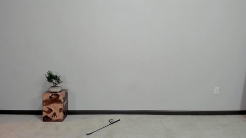 unicornspit11  20-08-2022